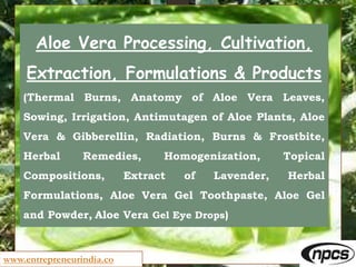 Aloe Vera Processing, Cultivation,
Extraction, Formulations & Products
(Thermal Burns, Anatomy of Aloe Vera Leaves,
Sowing, Irrigation, Antimutagen of Aloe Plants, Aloe
Vera & Gibberellin, Radiation, Burns & Frostbite,
Herbal Remedies, Homogenization, Topical
Compositions, Extract of Lavender, Herbal
Formulations, Aloe Vera Gel Toothpaste, Aloe Gel
and Powder, Aloe Vera Gel Eye Drops)
www.entrepreneurindia.co
 