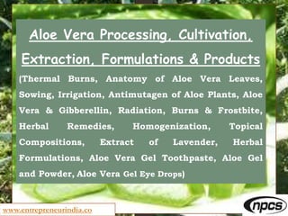 Aloe Vera Processing, Cultivation,
Extraction, Formulations & Products
(Thermal Burns, Anatomy of Aloe Vera Leaves,
Sowing...
