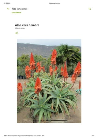 8/12/2020 Aloe vera hembra
https://todoconplantas.blogspot.com/2020/07/aloe-vera-hembra.html 1/7
Aloe vera hembra
julio 09, 2020
Todo con plantas
SUSCRIBIRSE
 