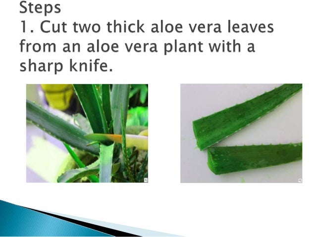 Aloe Vera Juice Uses For Natural Hair Aloe Vera Juice Uses For Natural Hair