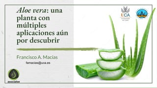 Aloe vera: una
planta con
múltiples
aplicaciones aún
por descubrir
Francisco A. Macías
famacias@uca.es
 