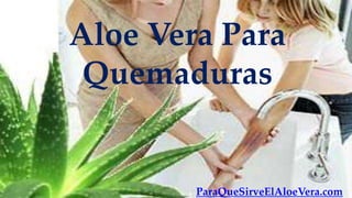 Aloe Vera Para
 Quemaduras


        ParaQueSirveElAloeVera.com
 