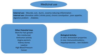 Biological Activity:
In vitro: Antioxidant properties
In vivo: Immunostimulatory ,
Hepatoprotective , Anti Diabetic
Other Potential Uses
Work for hair growth
Skin moisturizer
Antitumor activity
Angina pectoris
Kidney stones
Laxative
High Blood Pressure
Cancer
External use : Wounds, cuts , burns , eczema reducing inflammation .
Internal use: Ulcerative colitis ( drinks juice), chronic constipation , poor appetite,
digestive problem , Diabetes
Medicinal use
 