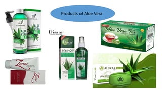 Products of Aloe Vera
 