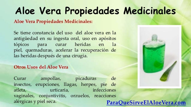 Aloe vera propiedades medicinales Aloe vera propiedades medicinales