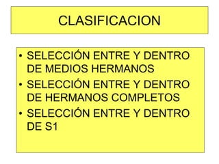 CLASIFICACION 
•SELECCIÓN ENTRE Y DENTRO DE MEDIOS HERMANOS 
•SELECCIÓN ENTRE Y DENTRO DE HERMANOS COMPLETOS 
•SELECCIÓN ENTRE Y DENTRO DE S1  