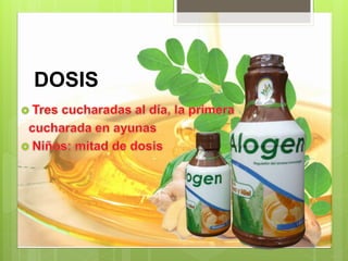 Alogen | PPTX