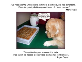 “Se você apanha um cachorro faminto e o alimenta, ele não o morderá.
Essa é a principal diferença entre um cão e um Homem”.
Mark Twain
“Cães não são para a nossa vida toda,
mas fazem as nossas e suas vidas eternas nas lembranças”.
Roger Caras
 
