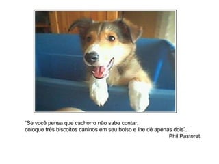 “Se você pensa que cachorro não sabe contar,
coloque três biscoitos caninos em seu bolso e lhe dê apenas dois”.
Phil Pastoret
 