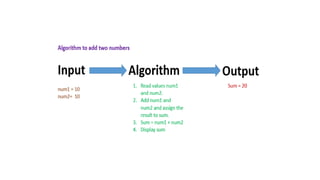 Algorithms In our Daily life | PPTX | Technology & Computing