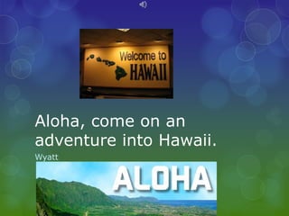 Aloha, come on an
adventure into Hawaii.
Wyatt
 