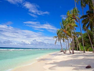 Aloha Editor  at  jQuery conf  2011 ‐ Haymo Meran   April 16, 2011
 