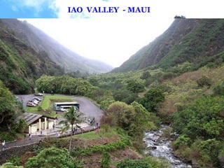 IAO  VALLEY  - MAUI 