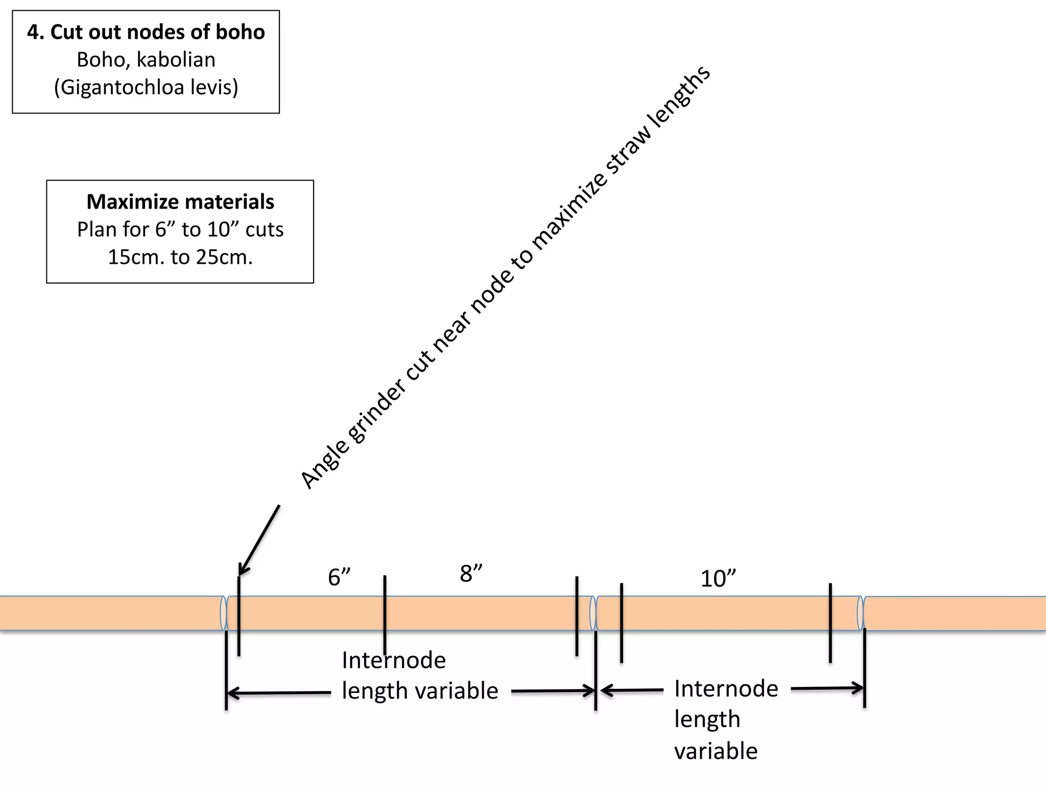 Internode	
length	variable	 Internode	
length		
variable	
4.	Cut	out	nodes	of	boho	
Boho,	kabolian	
(Gigantochloa	levis)	
Maximize	materials	
Plan	for	6”	to	10”	cuts	
15cm.	to	25cm.	
6”	 8”	 10”	
 