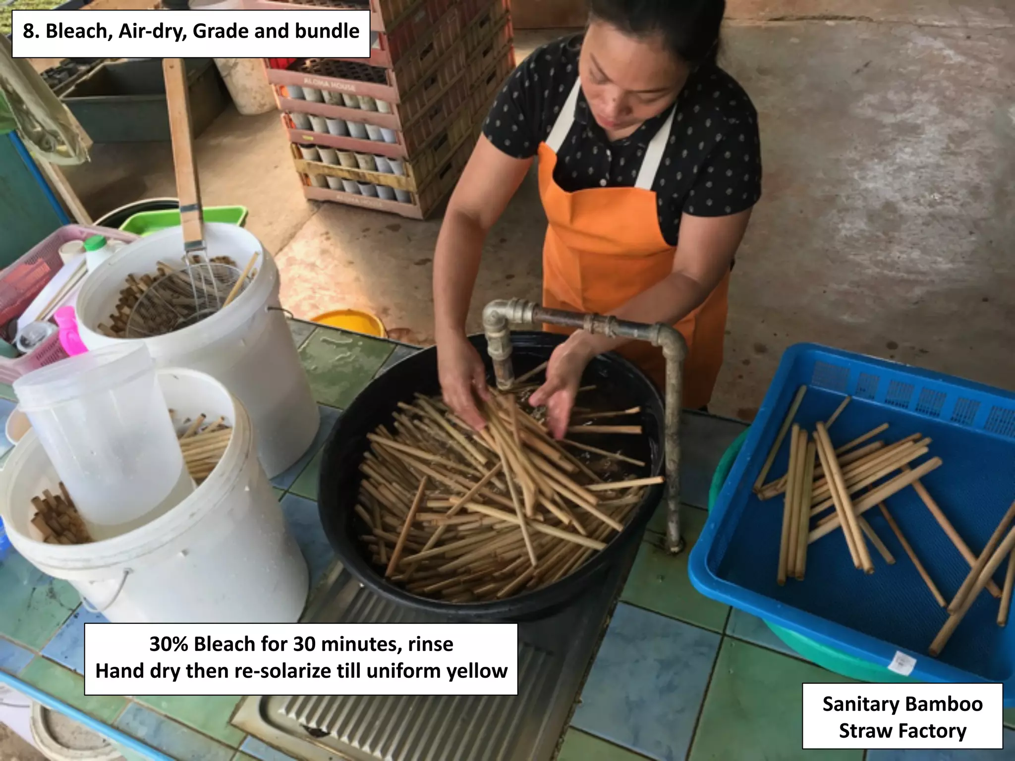 8.	Bleach,	Air-dry,	Grade	and	bundle	
Sanitary	Bamboo	
Straw	Factory	
30%	Bleach	for	30	minutes,	rinse	
Hand	dry	then	re-solarize	till	uniform	yellow		
 
