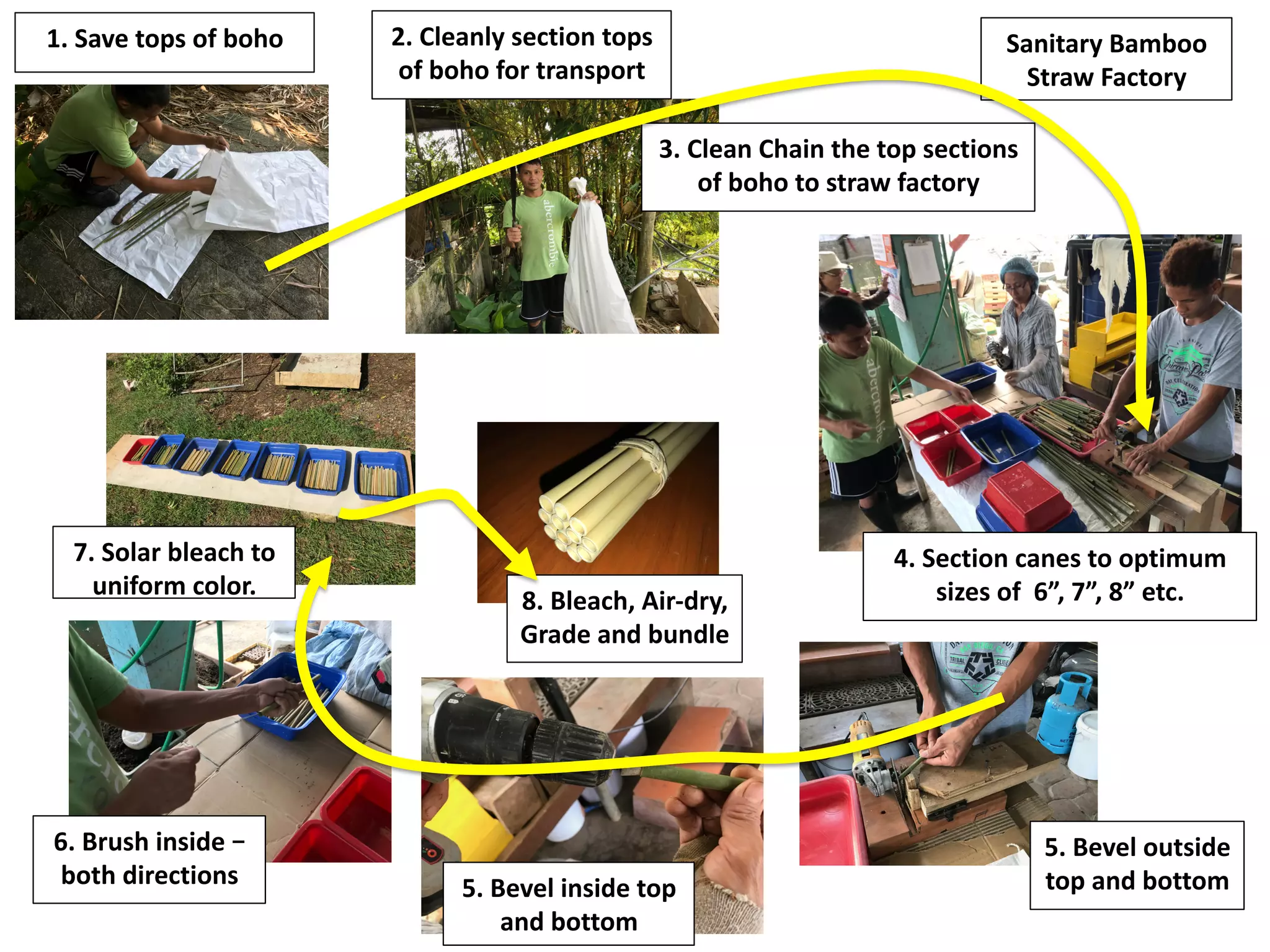 1.	Save	tops	of	boho	 Sanitary	Bamboo	
Straw	Factory	
2.	Cleanly	section	tops	
of	boho	for	transport	
3.	Clean	Chain	the	top	sections	
of	boho	to	straw	factory	
4.	Section	canes	to	optimum	
sizes	of		6”,	7”,	8”	etc.	
5.	Bevel	outside	
top	and	bottom	5.	Bevel	inside	top	
and	bottom	
6.	Brush	inside	–	
both	directions	
7.	Solar	bleach	to	
uniform	color.		
8.	Bleach,	Air-dry,	
Grade	and	bundle	
 