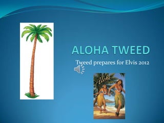 Tweed prepares for Elvis 2012
 