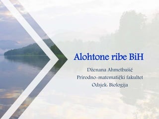 Alohtone ribe BiH
Dženana Ahmetbašić
Prirodno-matematički fakultet
Odsjek: Biologija
 
