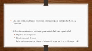 • Una vez extraído el tejido se coloca en medios para transporte (Celsior,
Custodio).
• Se han intentado varias métodos para reducir la inmunogenicidad
• Digestión por colágenasas
• Filtrados en malla de nylon
• Reducir el numero de macrófagos, células detríticas que son ricas en HLA tipo I y II
 