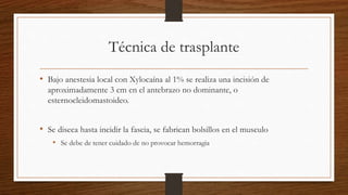Técnica de trasplante
• Bajo anestesia local con Xylocaína al 1% se realiza una incisión de
aproximadamente 3 cm en el antebrazo no dominante, o
esternocleidomastoideo.
• Se diseca hasta incidir la fascia, se fabrican bolsillos en el musculo
• Se debe de tener cuidado de no provocar hemorragia
 