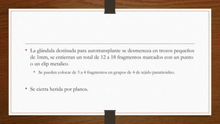 • La glándula destinada para autotransplante se desmenuza en trozos pequeños
de 1mm, se entierran un total de 12 a 18 fragmentos marcados con un punto
o un clip metalico
• Se pueden colocar de 3 a 4 fragmentos en grupos de 4 de tejido paratiroideo.
• Se cierra herida por planos.
 