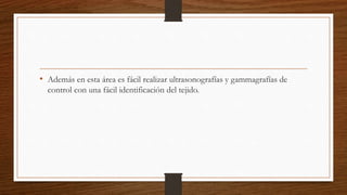 • Además en esta área es fácil realizar ultrasonografías y gammagrafías de
control con una fácil identificación del tejido.
 