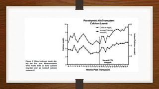 Aloinjerto de paratiroides