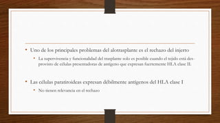 • Uno de los principales problemas del alotrasplante es el rechazo del injerto
• La supervivencia y funcionalidad del trasplante solo es posible cuando el tejido está des-
provisto de células presentadoras de antígeno que expresan fuertemente HLA clase II.
• Las células paratiroideas expresan débilmente antígenos del HLA clase I
• No tienen relevancia en el rechazo
 