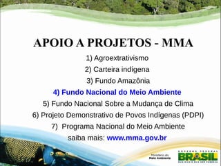 APOIO A PROJETOS - MMA 
1) Agroextrativismo 
2) Carteira indígena 
3) Fundo Amazônia 
4) Fundo Nacional do Meio Ambiente 
5) Fundo Nacional Sobre a Mudança de Clima 
6) Projeto Demonstrativo de Povos Indígenas (PDPI) 
7) Programa Nacional do Meio Ambiente 
saiba mais: www.mma.gov.br 
 