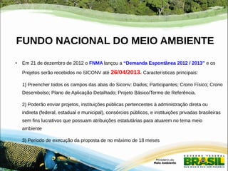 FUNDO NACIONAL DO MEIO AMBIENTE 
● Em 21 de dezembro de 2012 o FNMA lançou a “Demanda Espontânea 2012 / 2013” e os 
Projetos serão recebidos no SICONV até 26/04/2013. Características principais: 
1) Preencher todos os campos das abas do Siconv: Dados; Participantes; Crono Físico; Crono 
Desembolso; Plano de Aplicação Detalhado; Projeto Básico/Termo de Referência. 
2) Poderão enviar projetos, instituições públicas pertencentes à administração direta ou 
indireta (federal, estadual e municipal), consórcios públicos, e instituições privadas brasileiras 
sem fins lucrativos que possuam atribuições estatutárias para atuarem no tema meio 
ambiente 
3) Período de execução da proposta de no máximo de 18 meses 
 