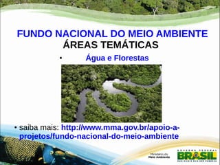 FUNDO NACIONAL DO MEIO AMBIENTE 
ÁREAS TEMÁTICAS 
● Água e Florestas 
● 
● saiba mais: http://www.mma.gov.br/apoio-a-projetos/ 
fundo-nacional-do-meio-ambiente 
 