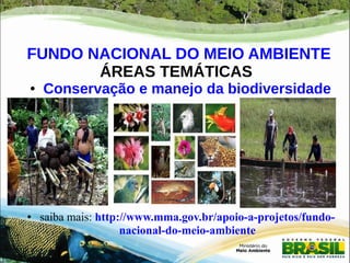 FUNDO NACIONAL DO MEIO AMBIENTE 
ÁREAS TEMÁTICAS 
● Conservação e manejo da biodiversidade 
● saiba mais: http://www.mma.gov.br/apoio-a-projetos/fundo-nacional- 
do-meio-ambiente 
 