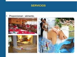 SERVICIOS  Proporcionan : alimento,  