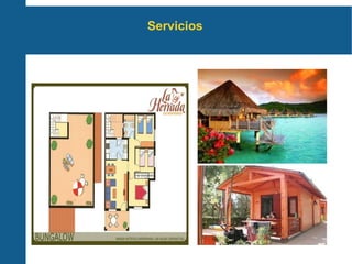 Servicios  
