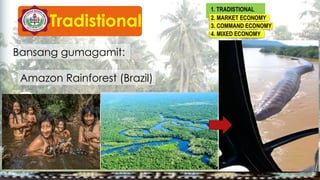 Tradistional
1. TRADISTIONAL
Frequency
2. MARKET ECONOMY
3. COMMAND ECONOMY
4. MIXED ECONOMY
Bansang gumagamit:
Amazon Rainforest (Brazil)
 