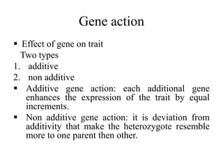Gene action
 Effect of gene on trait
Two types
1. additive
2. non additive
 Additive gene action: each additional gene
enhances the expression of the trait by equal
increments.
 Non additive gene action: it is deviation from
additivity that make the heterozygote resemble
more to one parent then other.
 