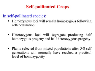 Self-pollinated Crops
In self-pollinated species:
 Homozygous loci will remain homozygous following
self-pollination
 Heterozygous loci will segregate producing half
homozygous progeny and half heterozygous progeny
 Plants selected from mixed populations after 5-8 self
generations will normally have reached a practical
level of homozygosity
 