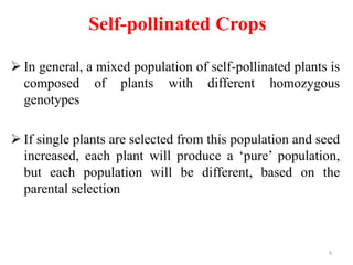  In general, a mixed population of self-pollinated plants is
composed of plants with different homozygous
genotypes
 If single plants are selected from this population and seed
increased, each plant will produce a ‘pure’ population,
but each population will be different, based on the
parental selection
5
Self-pollinated Crops
 