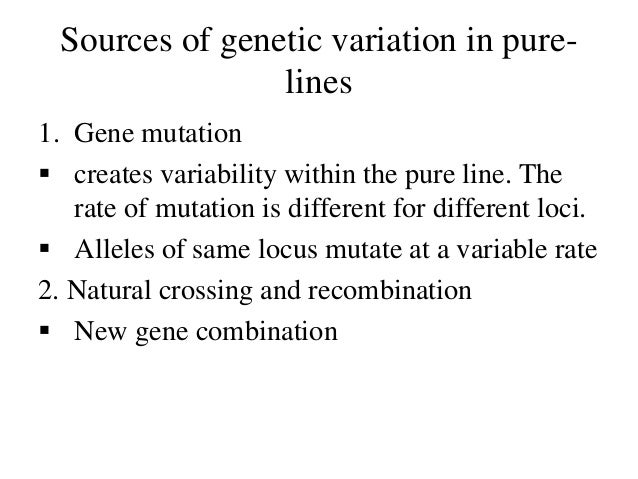 How Does Genetic Variation Contribute To Natural Selection How Does Genetic Variation Contribute To Natural Selection