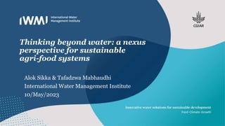 Thinking beyond water: a nexus
perspective for sustainable
agri-food systems
Alok Sikka & Tafadzwa Mabhaudhi
International Water Management Institute
10/May/2023
 