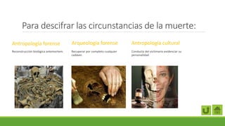 Para descifrar las circunstancias de la muerte:
Antropología forense
Reconstrucción biológica antemortem.
Arqueología forense
Recuperar por completo cualquier
cadáver.
Antropología cultural
Conducta del victimario evidenciar su
personalidad
 