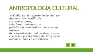 ANTROPOLOGIA CULTURAL
estudio en el conocimiento del ser
humano por medio de
sus costumbres,
relaciones, estructuras
políticas y económicas, urbanismo,
medios
de alimentación, salubridad, mitos,
creencias y relaciones de los grupos
humanos con el ecosistema.
 