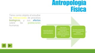 Antropología
Física
Tiene como objeto el estudiar
las interacciones de procesos
biológicos, y sus efectos
sobre las poblaciones
humanas
Teoría de selección
natural de Darwin
como base teórica
1953 Teoría
comprometida por un
grupo bajo la
supervisión de James
Watson al descifrar la
composición molecular
del ADN
Permitió comprender
como se da el proceso
evolutivo
bioquímicamente
 