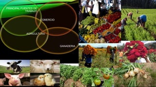 PRINCIPAL FUENTES DE
TRABAJO
AGRICULTURA
GANADERIA
COMERCIO
 