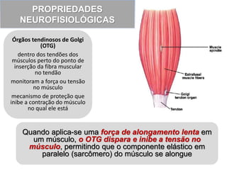 PROPRIEDADES
NEUROFISIOLÓGICAS
Órgãos tendinosos de Golgi
(OTG)
dentro dos tendões dos
músculos perto do ponto de
inserção da fibra muscular
no tendão
monitoram a força ou tensão
no músculo
mecanismo de proteção que
inibe a contração do músculo
no qual ele está
Quando aplica-se uma força de alongamento lenta em
um músculo, o OTG dispara e inibe a tensão no
músculo, permitindo que o componente elástico em
paralelo (sarcômero) do músculo se alongue
 
