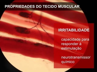 PROPRIEDADES DO TECIDO MUSCULAR
IRRITABILIDADE
capacidade para
responder à
estimulação
neurotransmissor
químico
 