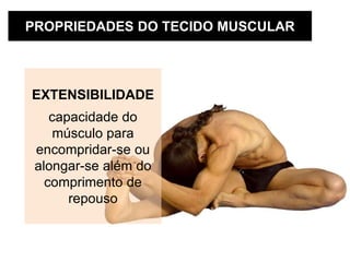 PROPRIEDADES DO TECIDO MUSCULAR
EXTENSIBILIDADE
capacidade do
músculo para
encompridar-se ou
alongar-se além do
comprimento de
repouso
 