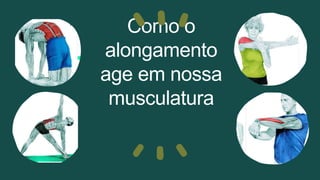 Como o
alongamento
age em nossa
musculatura
 