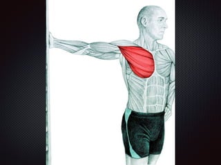 Alongamentos   imagens exemplos