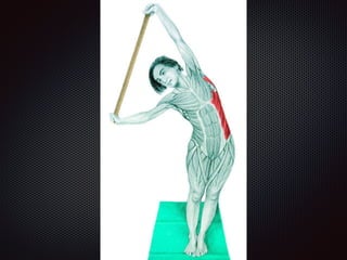 Alongamentos   imagens exemplos